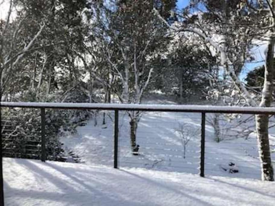Narrow Neck Views - Peaceful 4 Bedroom Home With Stunning Views! Katoomba Εξωτερικό φωτογραφία